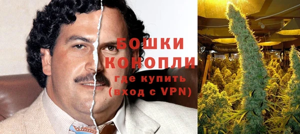 стаф Новодвинск