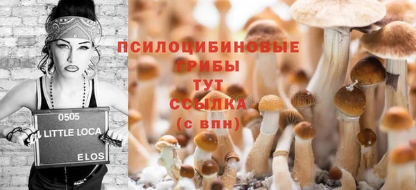 гидропоника Няндома