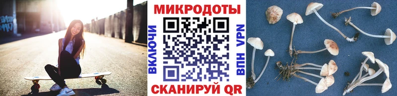 Галлюциногенные грибы мицелий  что такое   Зерноград 