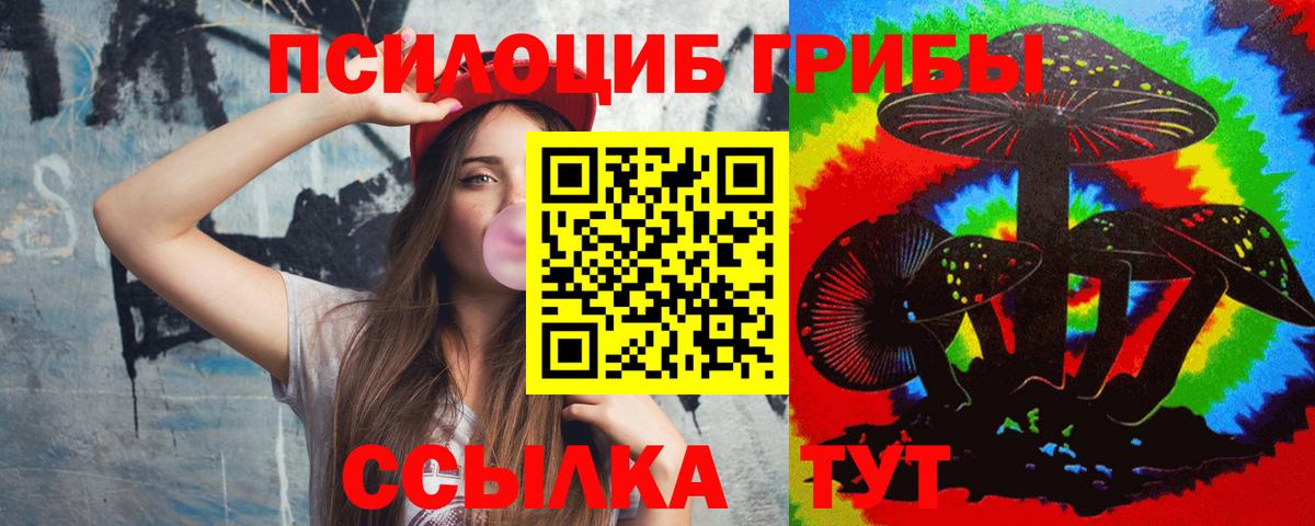 Псилоцибиновые грибы Psilocybine cubensis  Зерноград 