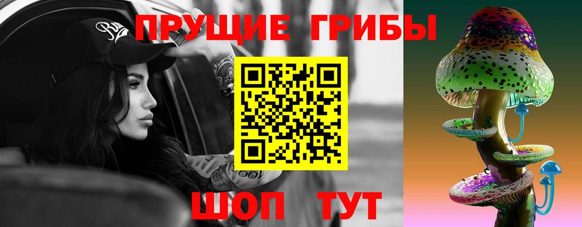 Галлюциногенные грибы MAGIC MUSHROOMS  Вход с VPN  Зерноград 
